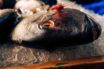 Toothy fish on ice on market in Africa