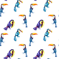 Toucans, exotic tropical birds watercolor seamless pattern on white background.