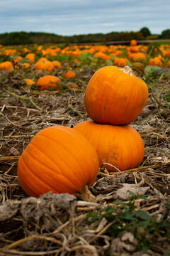 Stacked Pumpkins