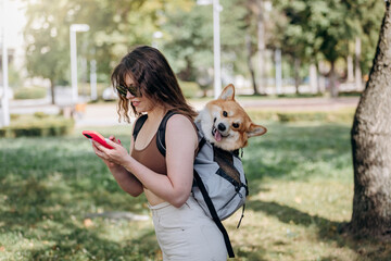 Young woman traveler is walking outdoors and using phone in city parkland with dog Welsh Corgi Pembroke in a special backpack