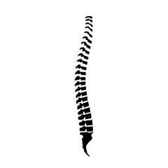Human spine icon isolated on white background