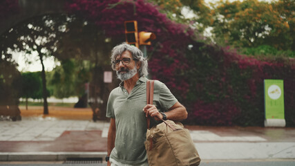 Friendly middle-aged man with gray hair and beard wearing casual clothes crosses the road at crosswalk. Mature gentleman in eyeglasses looking back while crossing the road at crosswalk