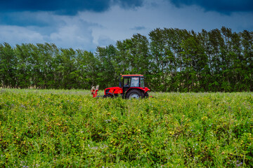 Red tractor in a rural landscape. Harvesting in the field