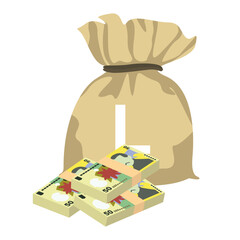 Romanian Leu Vector Illustration. Romania money set bundle banknotes. Money bag 50 RON. Flat style. Isolated on white background. Simple minimal design.