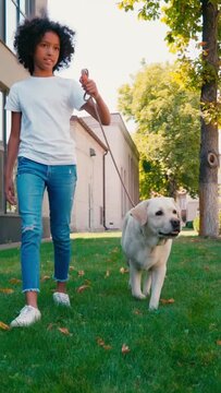 vertical view of african american girl walking with labrador along lawn