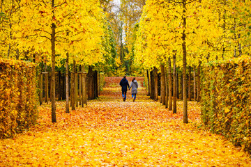 Two people in  Yellow leaves in autumn park. 