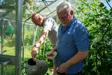 Senior male couple gardening