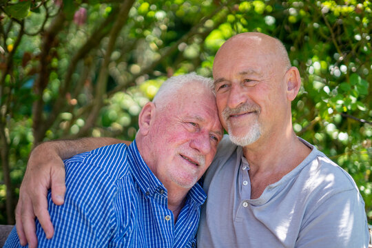 Senior Male Couple Relaxing In Garden