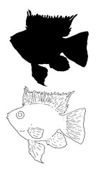 Apistogramma Aquarium butterfly Fish is a stylized Vector hand drawn in a sketch style silhouette and black line on a white. vector isolated element of a contour fish for the design series