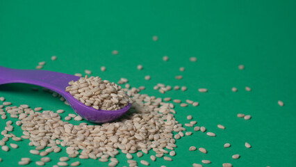  white sesame seeds, sesame seeds in a wooden spoon on an old rustic background close-up