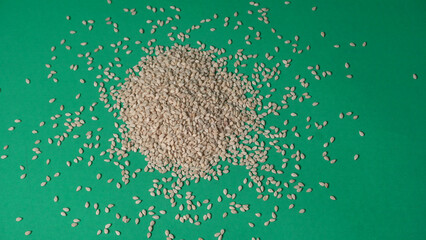 white sesame seeds, sesame seeds in a wooden spoon on an old rustic background close-up