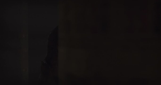 Animation of scary zombie mummy walking around in dark crypt room