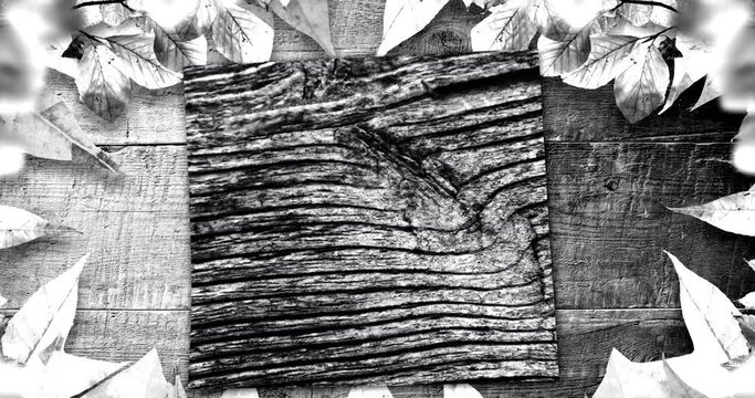 Animation of plant leaves, wooden boards and changing wood grain pattern, black and white