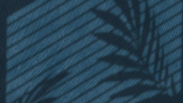 Animation of palm leaf and stripe shadows over changing blue wood grain pattern