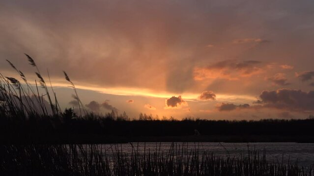 Sunset over water with reeds in tranquil place for meditation and relaxation UK 4K