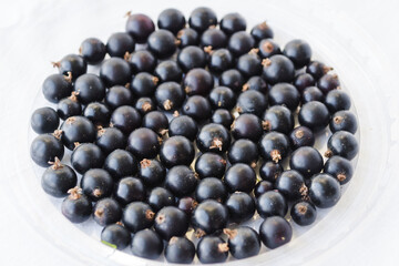 Black berries on white. Blackcurrants in a transparent bowl isolated on a white background. Blackcurrant with copy space for text. Top view berries closeup.