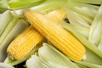 corn on the cob on the table, sweet corn