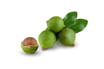 Shelled macadamia nuts isolated on white background