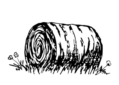 recommend clip art: Simple hand drawn vector drawing in engraving style. Round haystack, straw, dry grass. Farm and ranch, livestock feed. Countryside, autumn fields, harvest. Sketch in ink.
