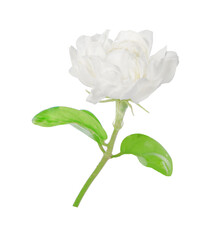 Obraz premium jasmine flowers isolated on white background