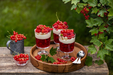 berries jelly and cream dessert