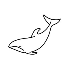 Dolphin color line illustration. Marine mammals.
