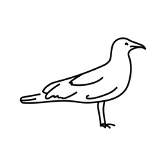 Gull color line illustration. Marine mammals.