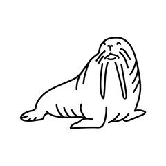 Walrus color line illustration. Marine mammals.