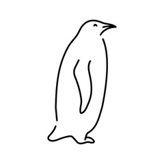 Penguin color line illustration. Marine mammals.