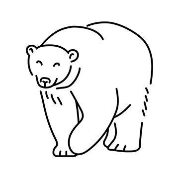 Polar bear color line illustration. Marine mammals.