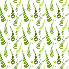Seamless pattern of green fern leaves on white background