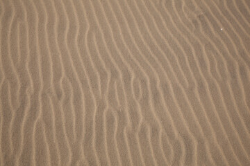 Baltic Beach Sand