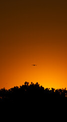 Photo of Sun landscape at dawn.