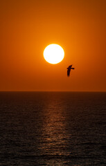 Photo of Sun landscape at dawn