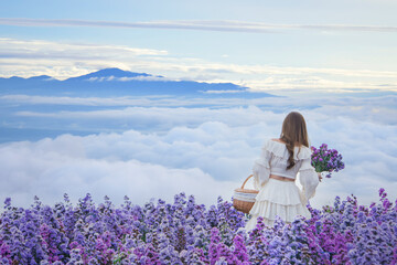 Happy woman relaxing in a field of purple margaret flowers, Mae Rim District, Chiang Mai, Thailand - obrazy, fototapety, plakaty