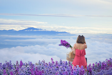 Happy woman relaxing in a field of purple margaret flowers, Mae Rim District, Chiang Mai, Thailand - obrazy, fototapety, plakaty