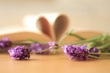 ラベンダーと本