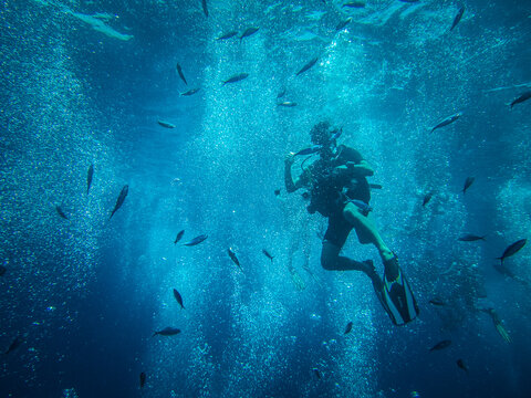 Plong&eacute;e sous marine, plongeur et petits poisson
