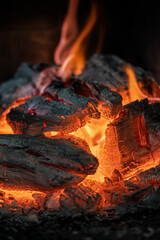 woods on fire, ashes 