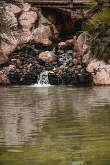 verde naturaleza arboles cesped flores 