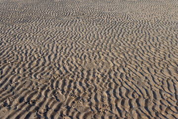 the background of the sand on the beach is empty. There is a place for the inscription Beautiful landscape and splash