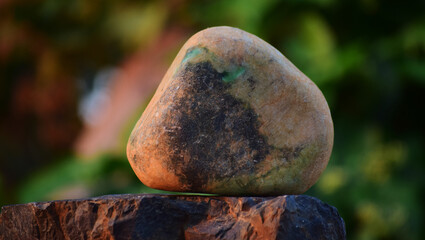 Green jade Rare and expensive For making jewelry	