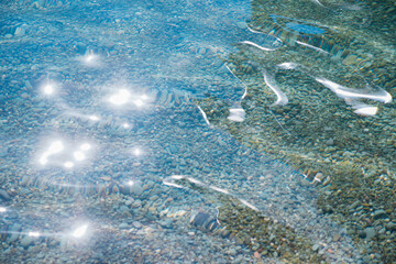 Waves on the seashore. A clear sunny day. Clear, clean sea water. Holidays on the coast. Natural background and texture.