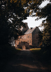 House through the trees