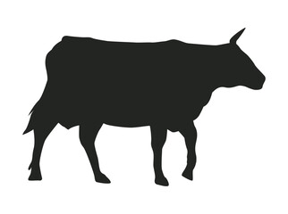 cow animal silhouette style