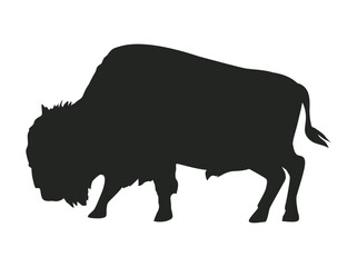 buffalo wild animal silhouette