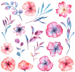 Set of cute soft watercolor hand painted flowers and leaves on white background. High quality flower blossom with colorful vibrant leaves collection