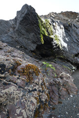 Cliffs at Tregardock Beach Cornwall