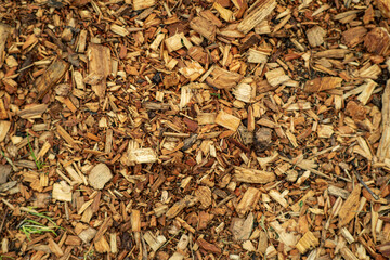 Wooden shavings chips, natural material background pattern