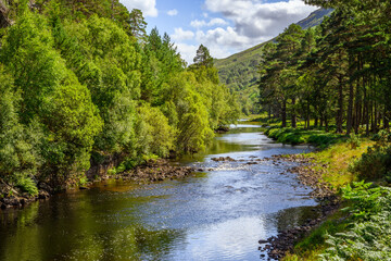Obraz premium View down a treelined river in the Scottish Highlands